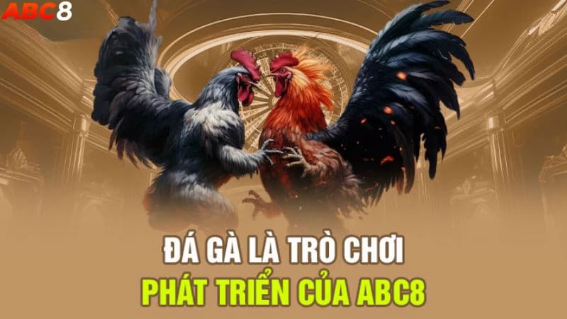 tham gia choi da ga abc8 nhanh chong